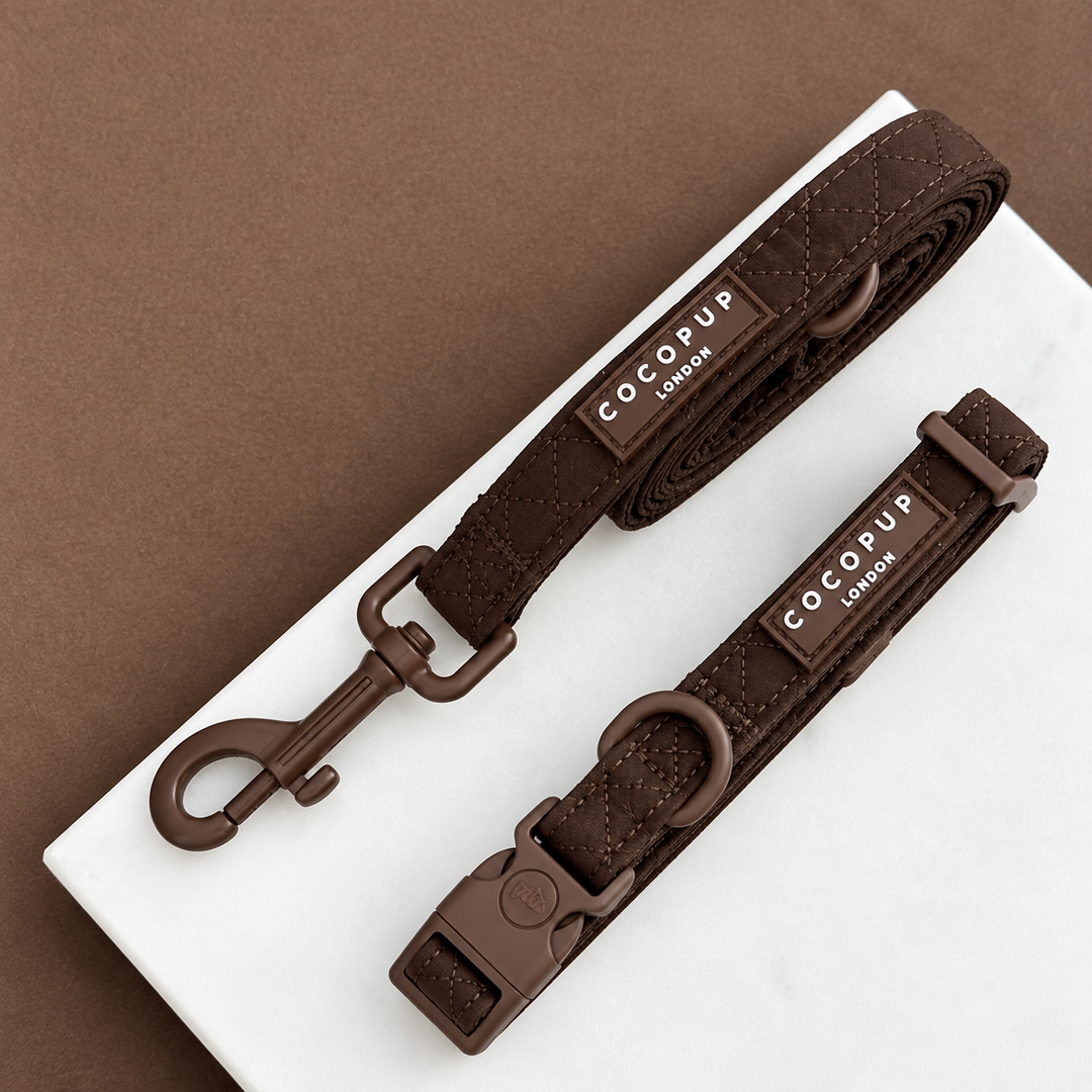 Burford Quilted Collar & Lead Bundle