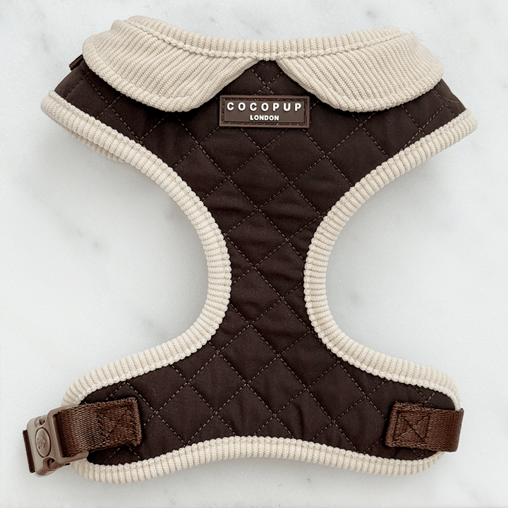 Burford Quilted Adjustable Neck Harness, Lead & Collar Bundle