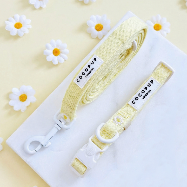 Dog Lead & Collar set in butter yellow colour with embroidered daisies, with Cocopup branding.