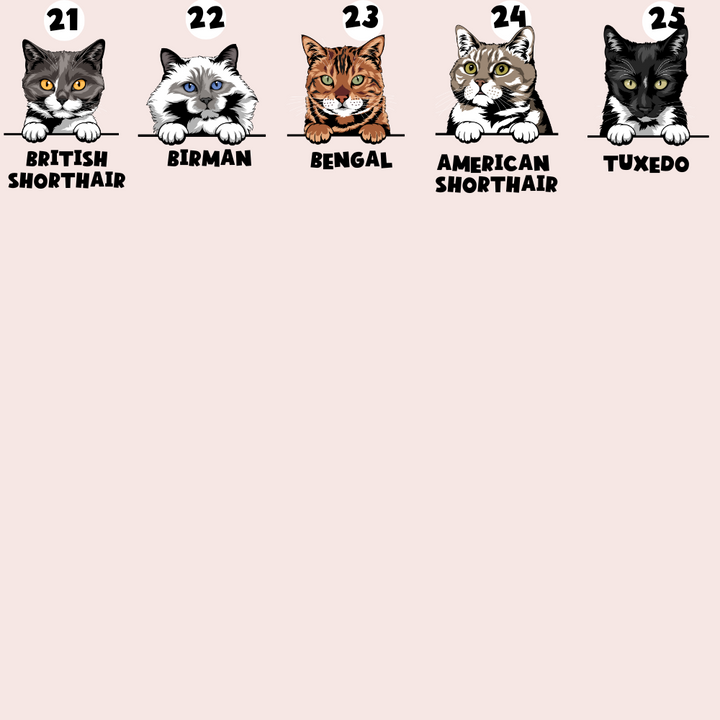 Personalised Cat Cartoon ID Tag - Ivory Tort