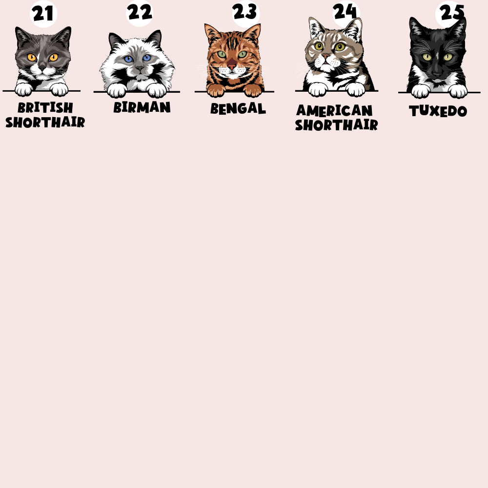 Personalised Cat Cartoon ID Tag - Daisy Chain
