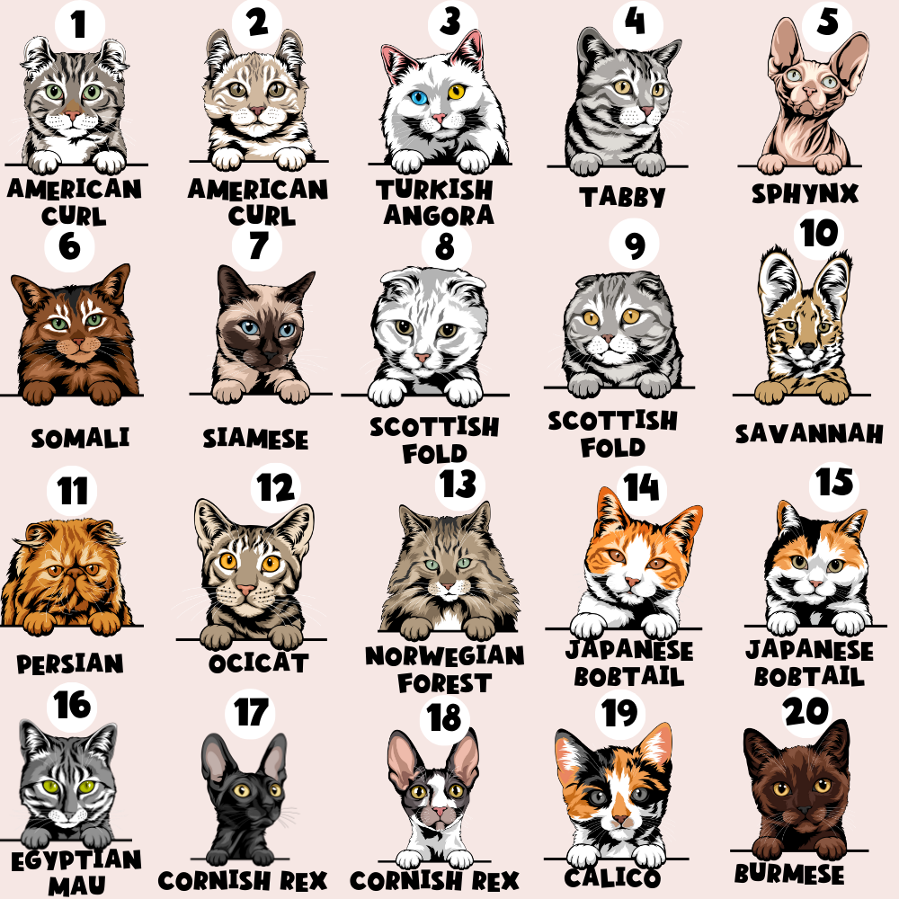 Personalised Cat Cartoon ID Tag - Monochrome Spots