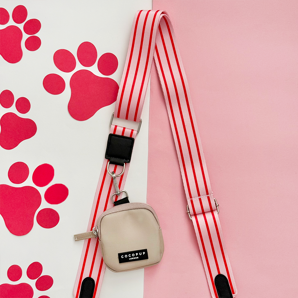 Bag Strap - Candy Stripe