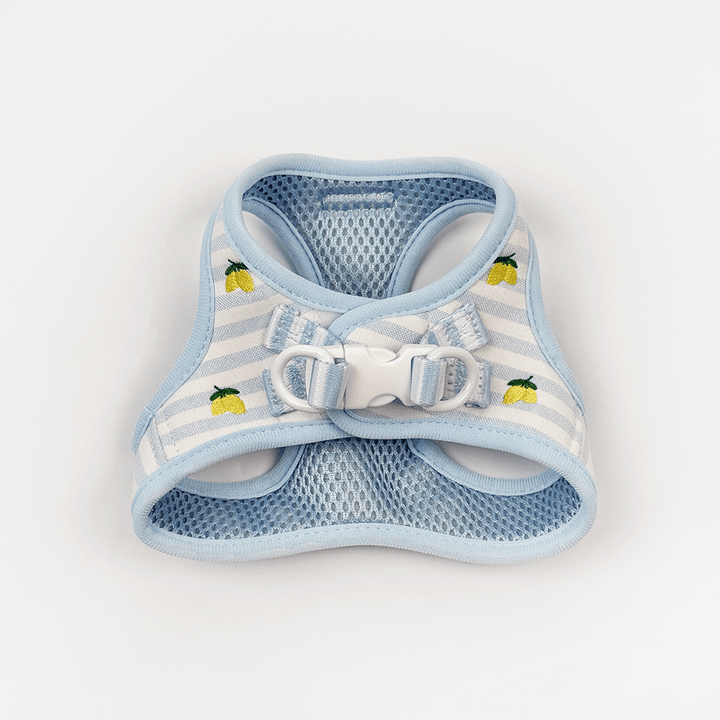 Cat Harness - Living La Vida Lemon