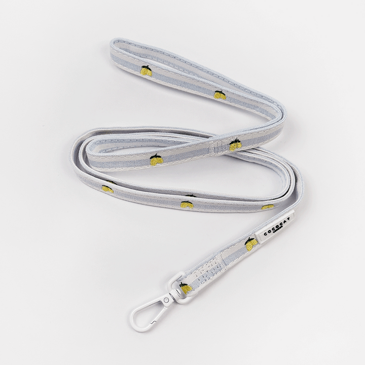 Cat Lead - Living La Vida Lemon