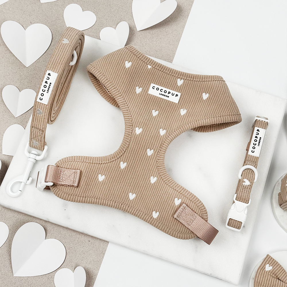 Chai Hearts Adjustable Neck Harness, Lead & Collar Bundle