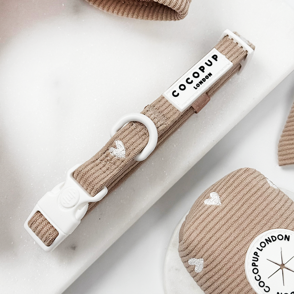 Chai Hearts Adjustable Neck Harness, Lead & Collar Bundle