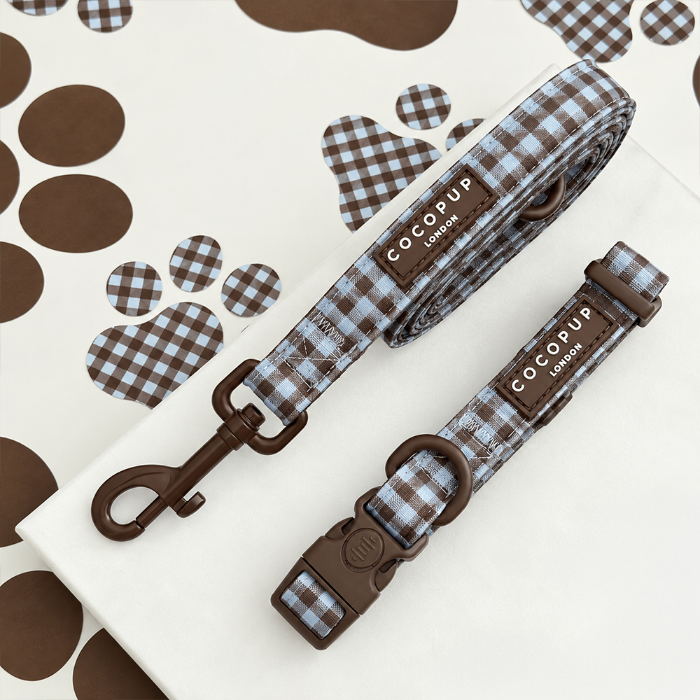 Chelsea Check Collar & Lead Bundle