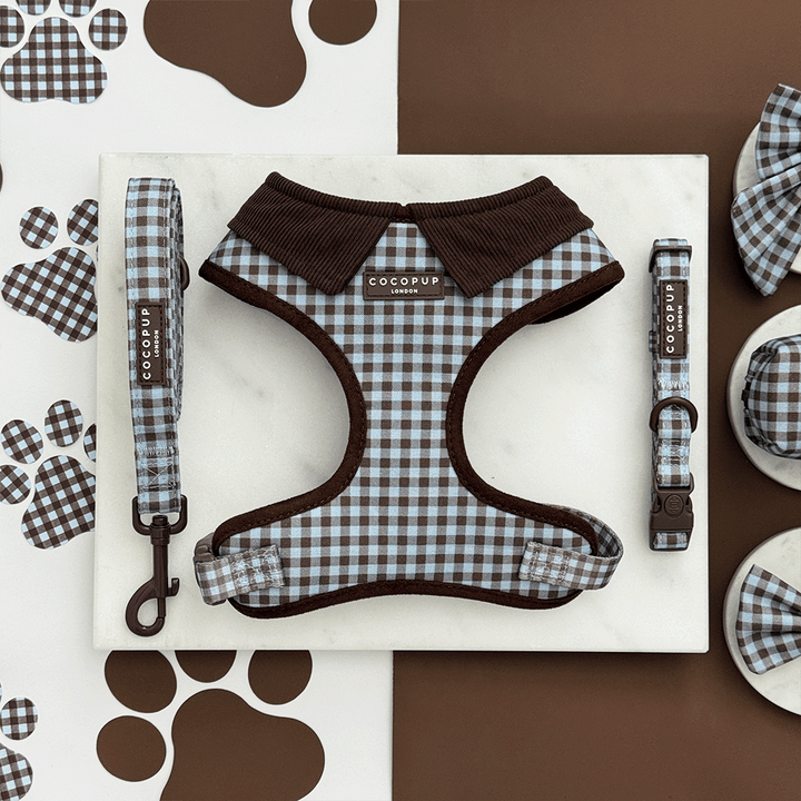 A brown and blue check print dog harness, collar and lead. With brown hardware.