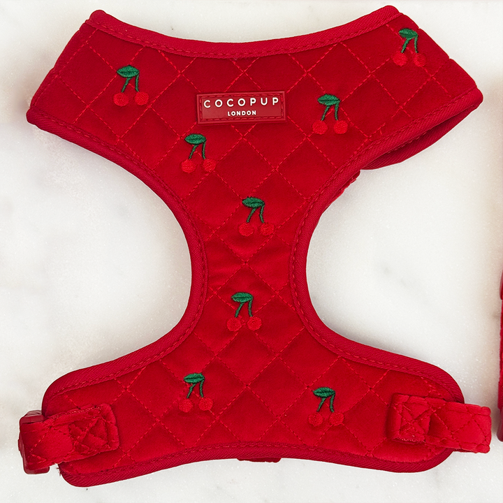 Cherry Velvet Crush Adjustable Neck Harness, Lead & Collar Bundle