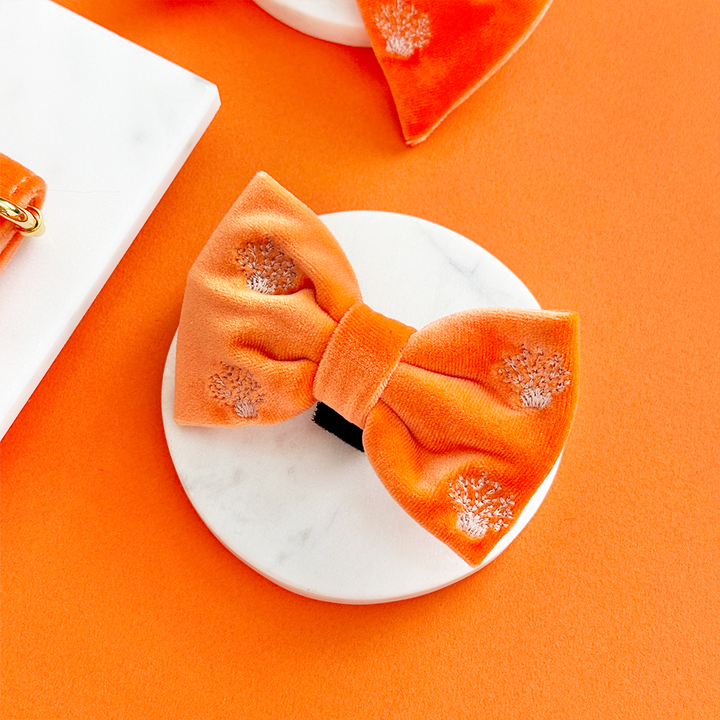 Luxe Velvet Bow Tie - Coral Core