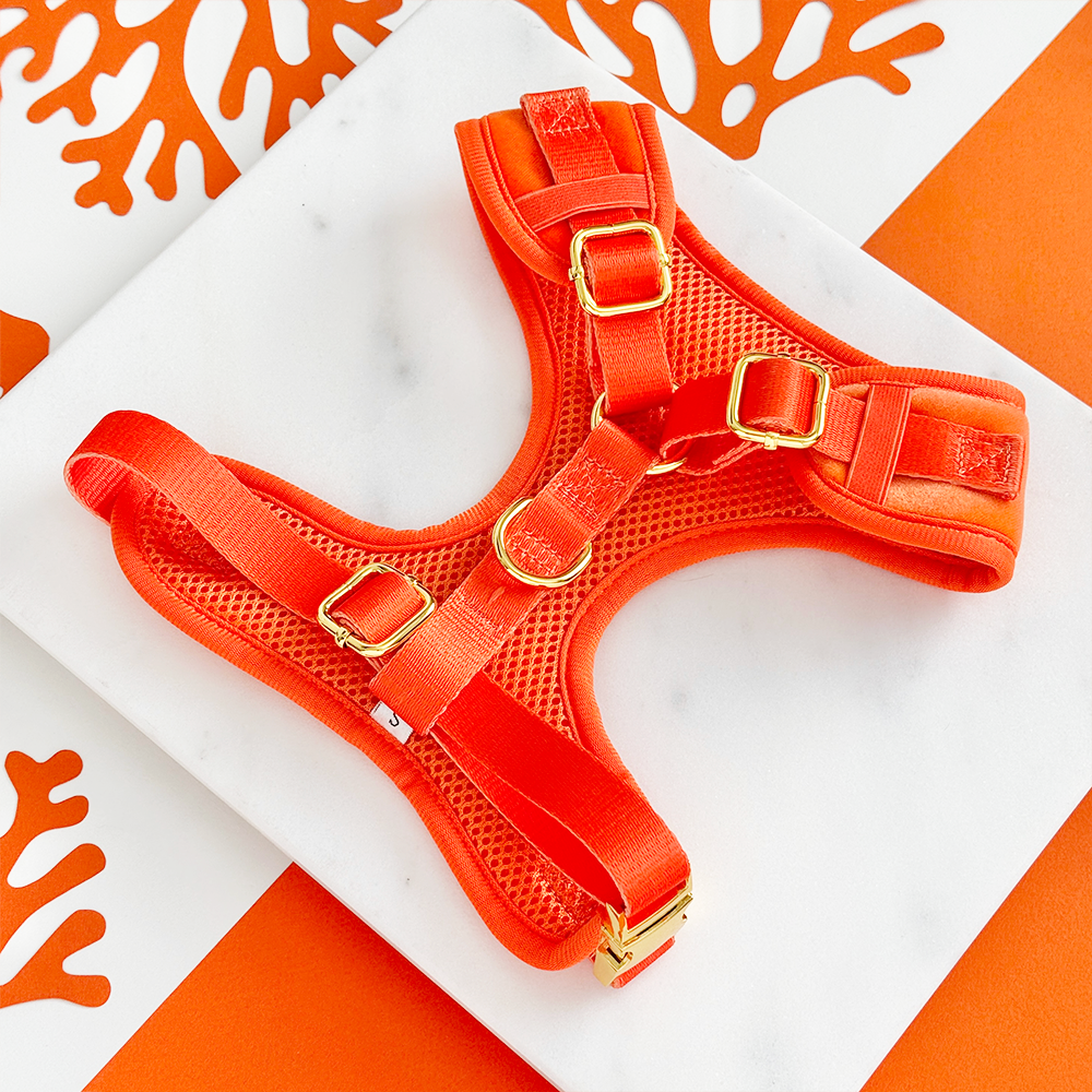 Luxe Velvet Adjustable Neck HARNESS- Coral Core
