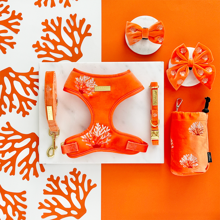 Luxe Velvet Lead - Coral Core