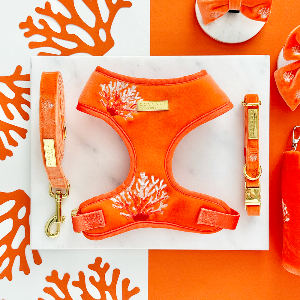 Luxe Velvet Adjustable Neck HARNESS- Coral Core