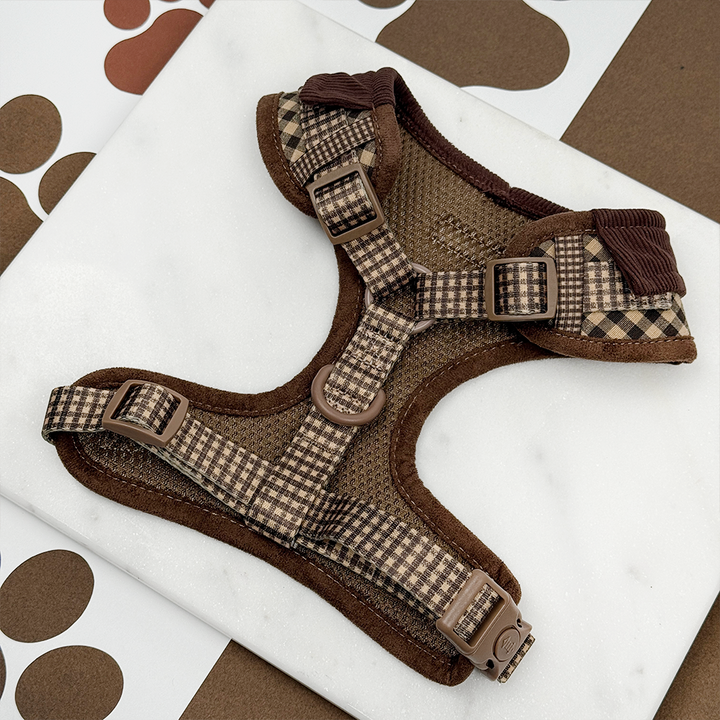 Cotswold Check Adjustable Neck Harness, Lead & Collar Bundle