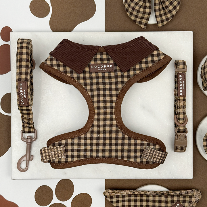 Cotswold Check Adjustable Neck Harness, Lead & Collar Bundle
