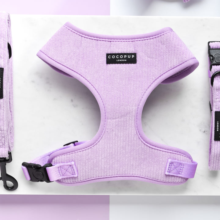 Lilac Cord Adjustable Neck Harness, Lead & Collar Bundle