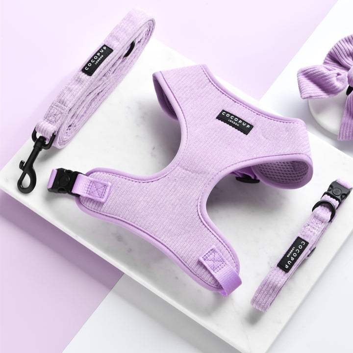 Lilac Cord Adjustable Neck Harness, Lead & Collar Bundle