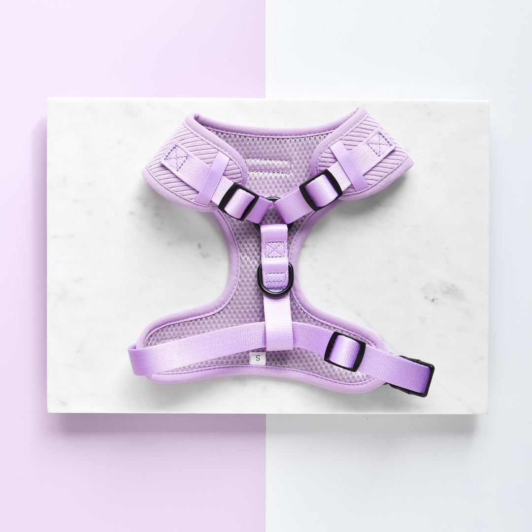 Lilac Cord Adjustable Neck Harness