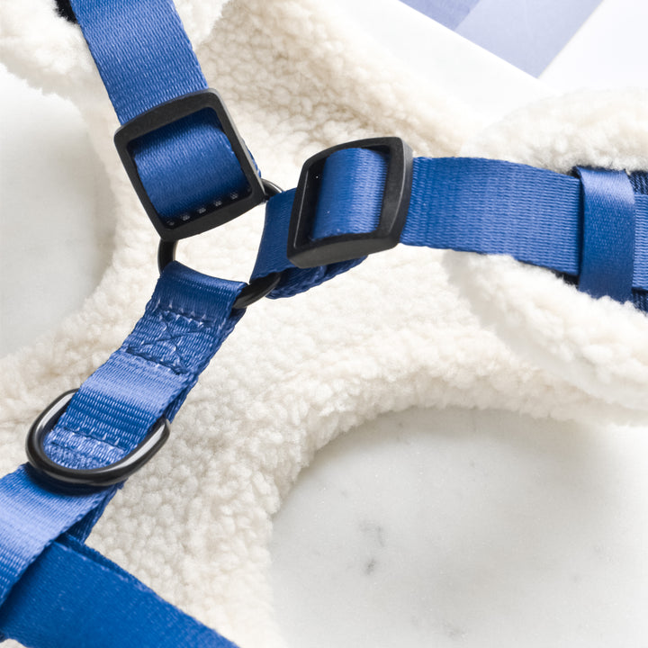 Denim Adjustable Neck Harness, Lead & Collar Bundle