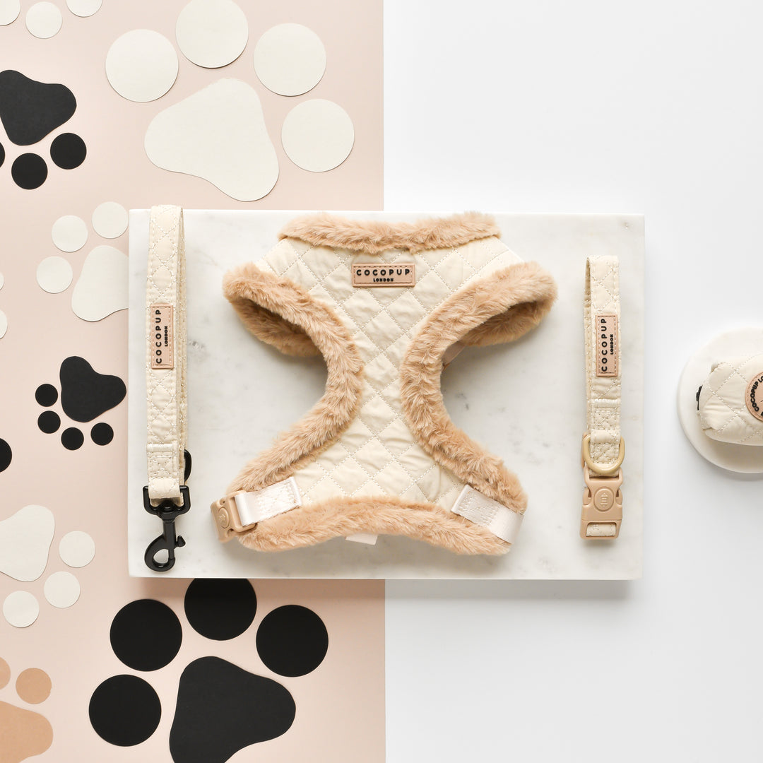 Quilted Adjustable Neck Harness, Lead & Collar Bundle