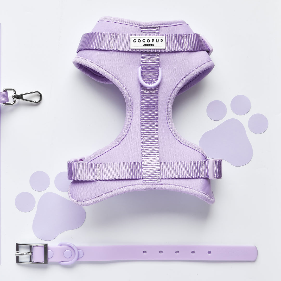 NAKD Adjustable Neck Harness, Lead, Collar & Poop Bag Holder Bundle - Parma Violets