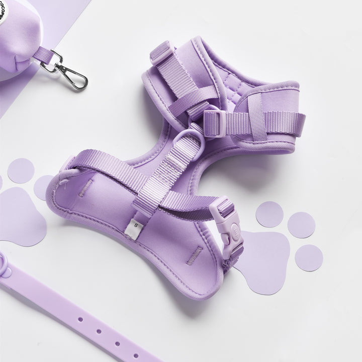 NAKD Adjustable Neck Harness, Lead, Collar & Poop Bag Holder Bundle - Parma Violets