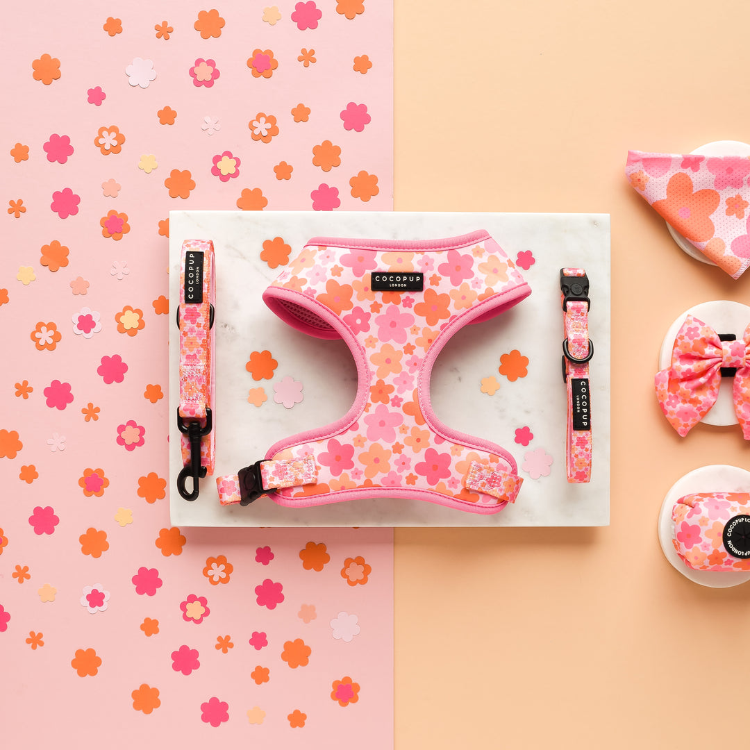 Summer Bloom Adjustable Neck Harness