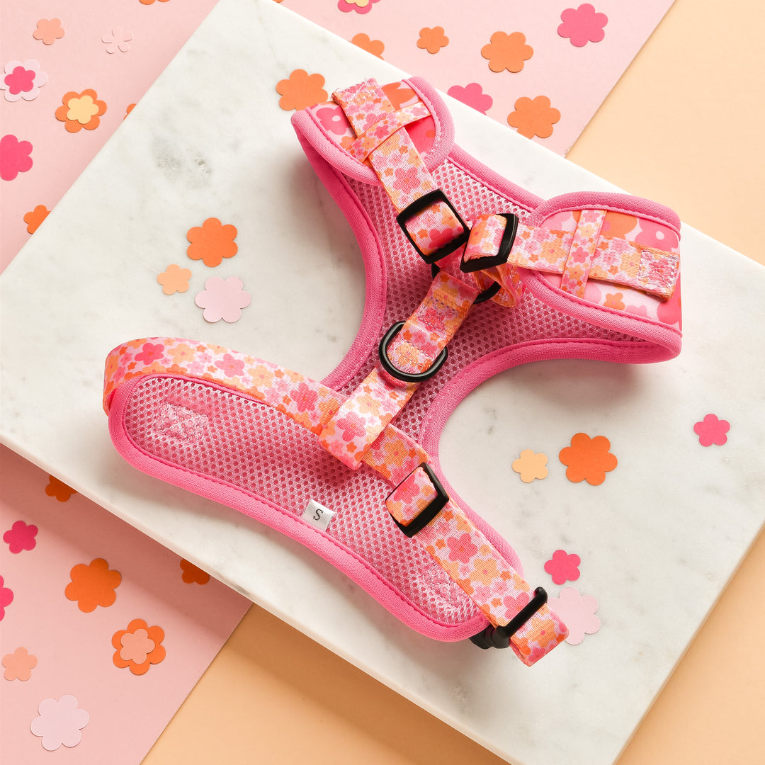 Summer Bloom Adjustable Neck Harness