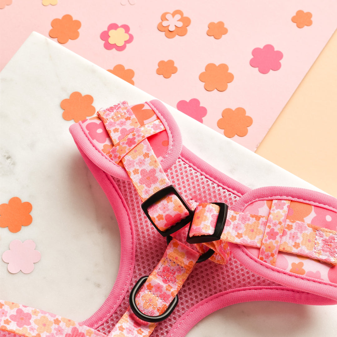 Summer Bloom Adjustable Neck Harness
