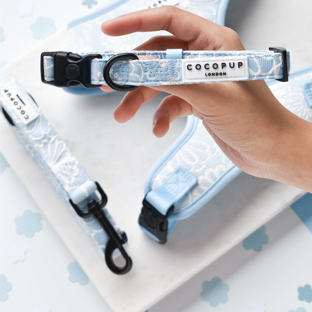Luxe Baby Blue Flower Puppy Lead & Collar Set