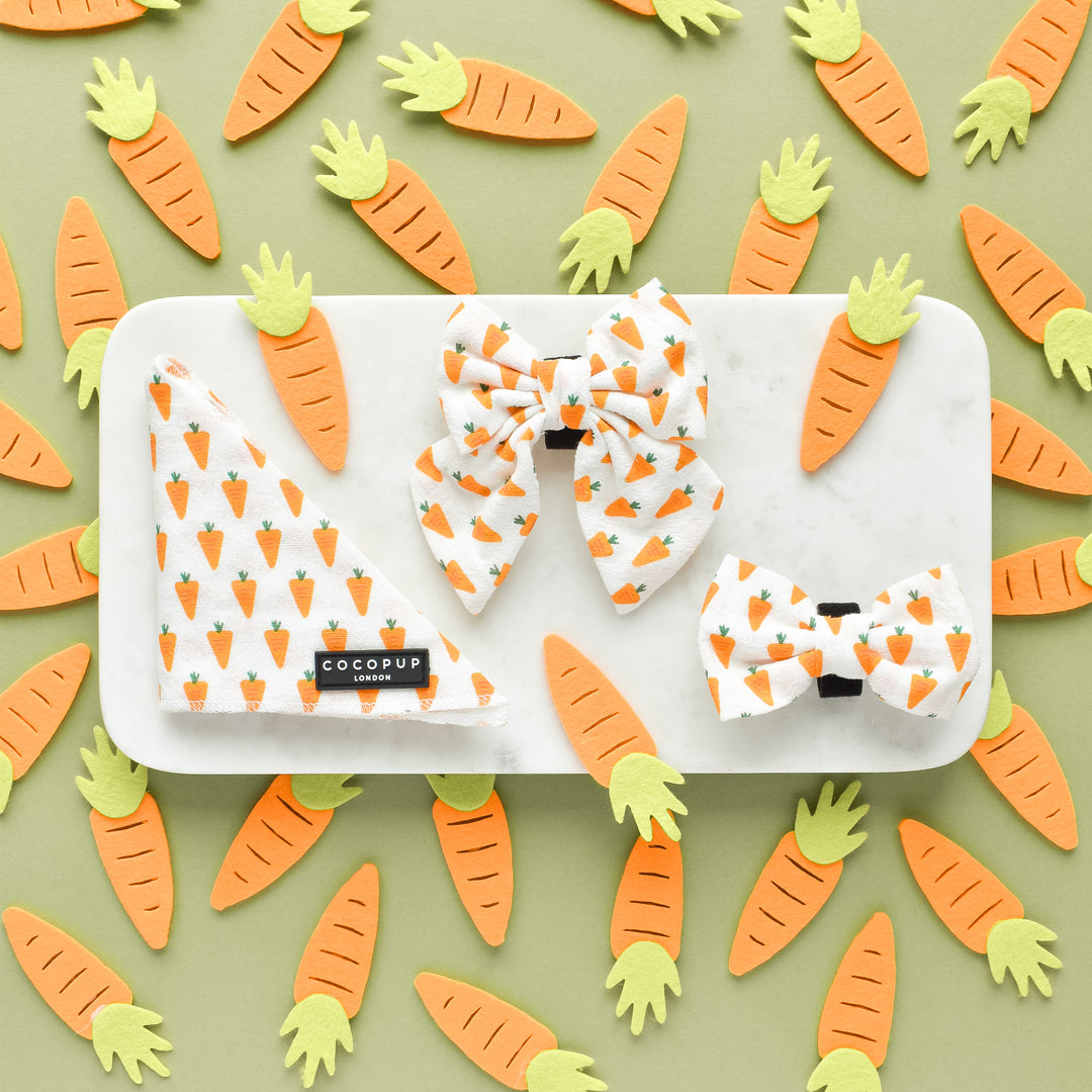 Limited Edition Carrot - Sailor Bow Tie