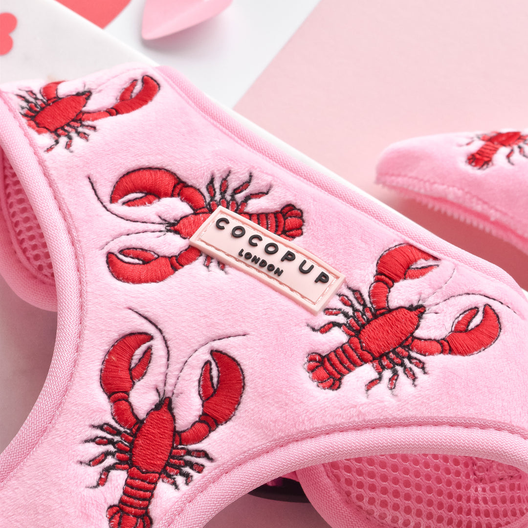 Luxe Velvet Adjustable Neck Harness - Lobster Love