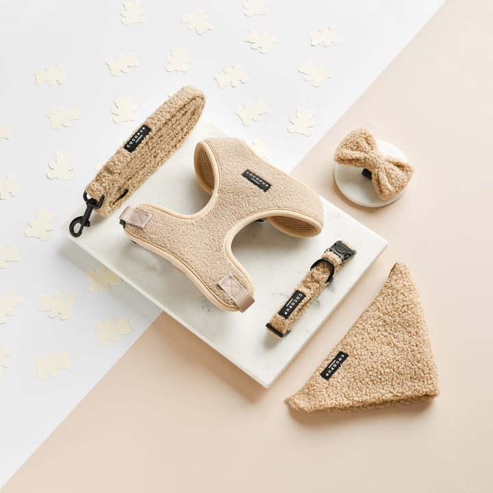 Teddy Rupert Lead - Puppy