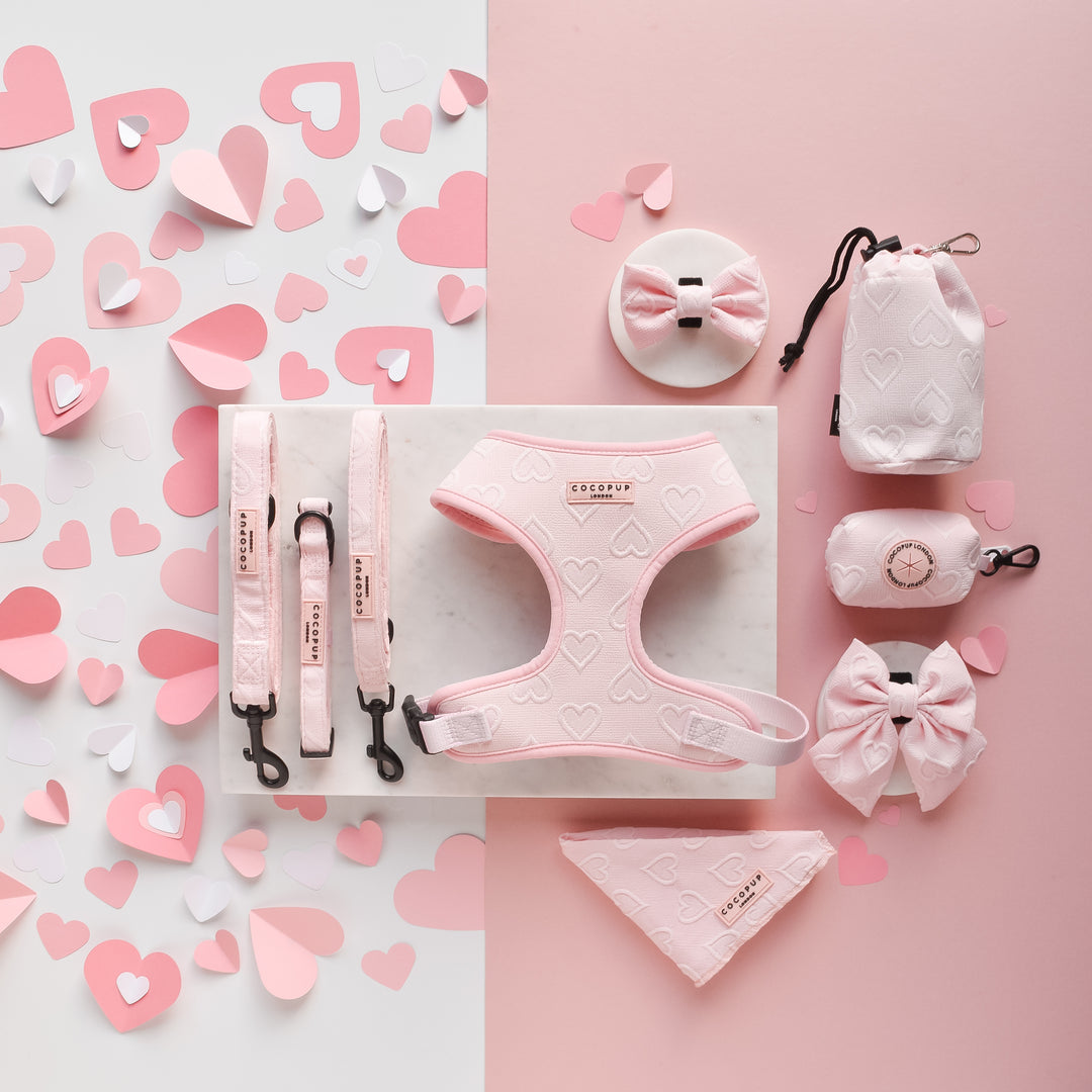 Luxe Bandana - Baby Pink Heart