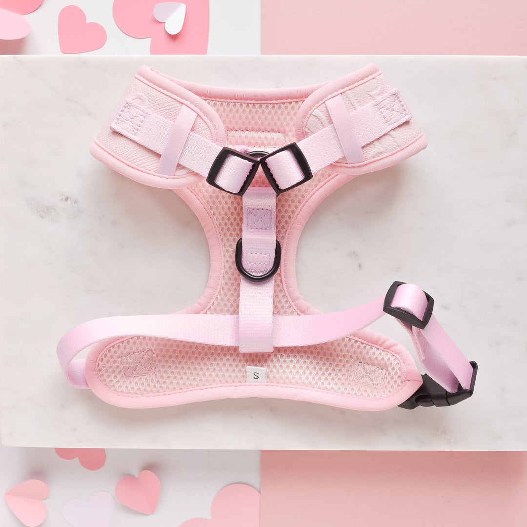 Luxe Baby Pink Heart Adjustable Neck Harness, Lead & Collar Bundle