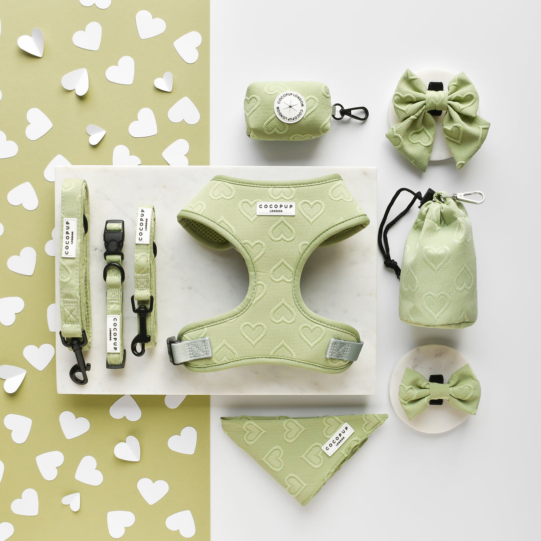 Luxe Bow Tie - Sage Heart