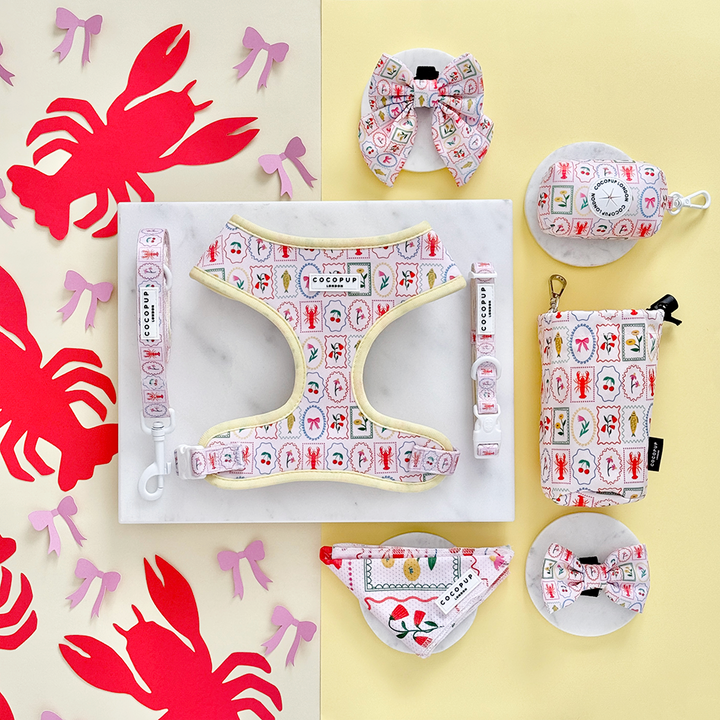 Dolce Vita Adjustable Neck Harness, Lead & Collar Bundle