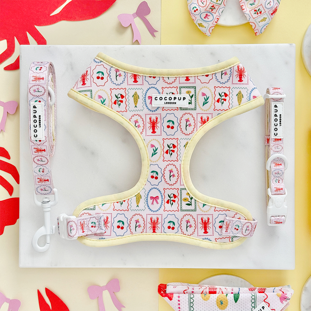 Dolce Vita Adjustable Neck HARNESS