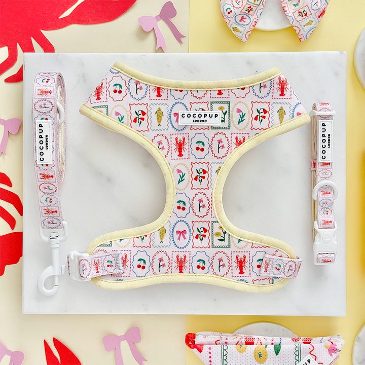 Dolce Vita Adjustable Neck HARNESS