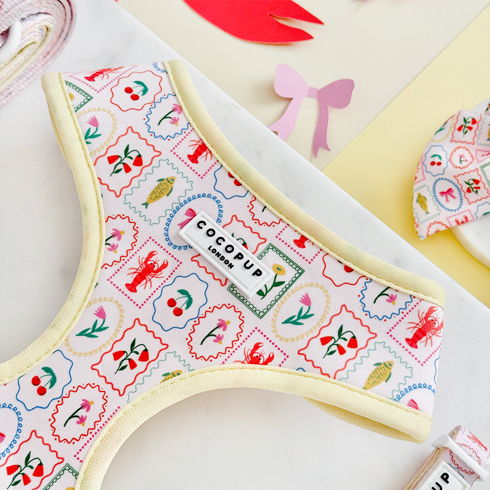 Dolce Vita Adjustable Neck HARNESS