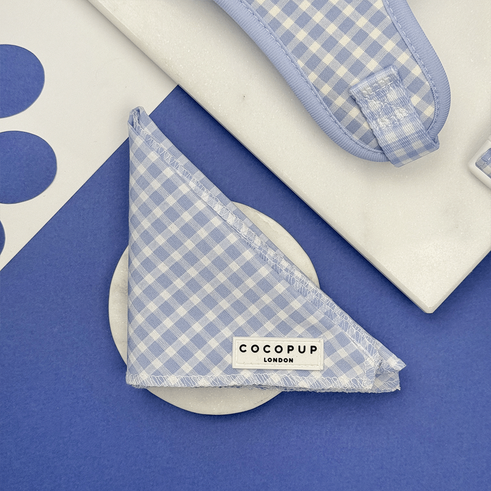 Blue and white checkered, gingham design Dog Bandana.