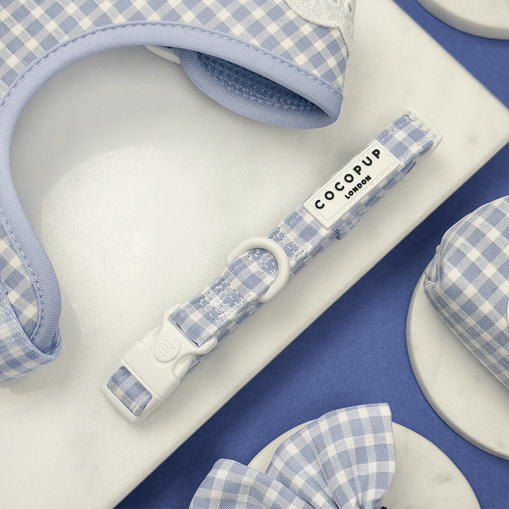 Blue and white checkered, gingham design Dog Collar.