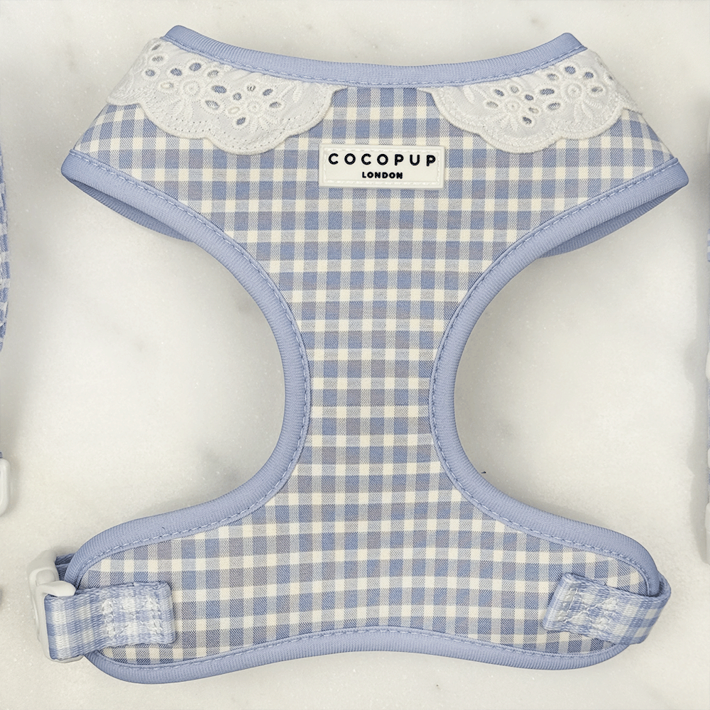 Blue and white checkered, gingham design Dog Harness with white lace trim.