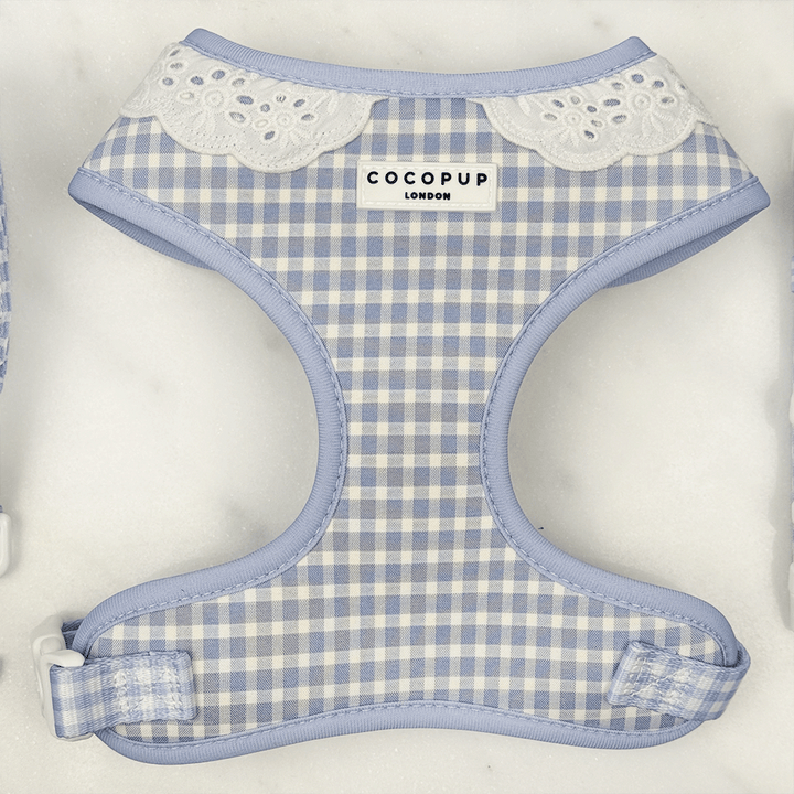 Blue and white checkered, gingham design Dog Harness with white lace trim.