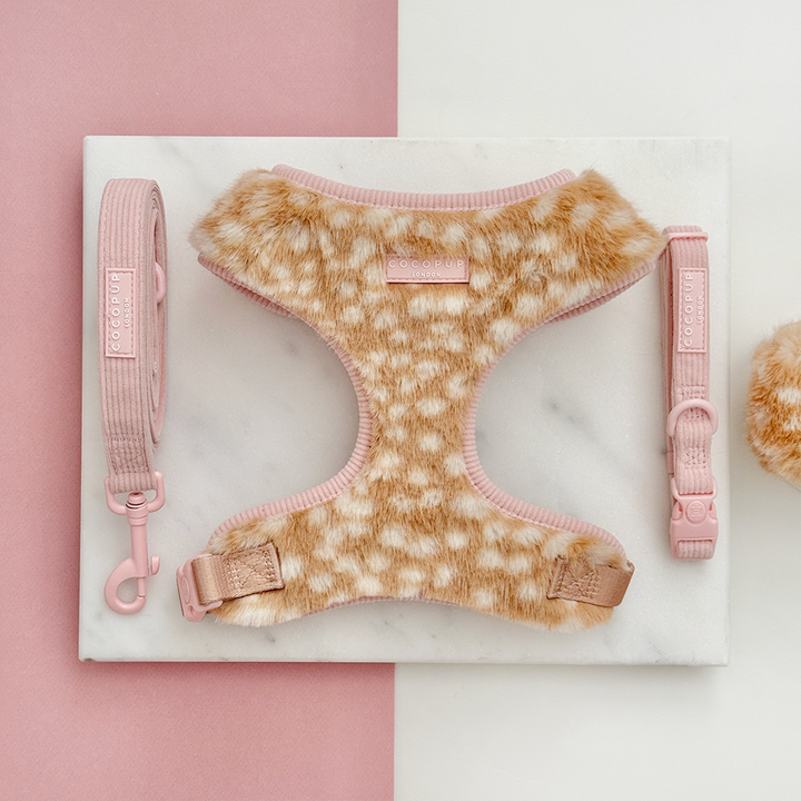 Fluffy Fawn - Adjustable Neck Harness, Lead & Collar Bundle