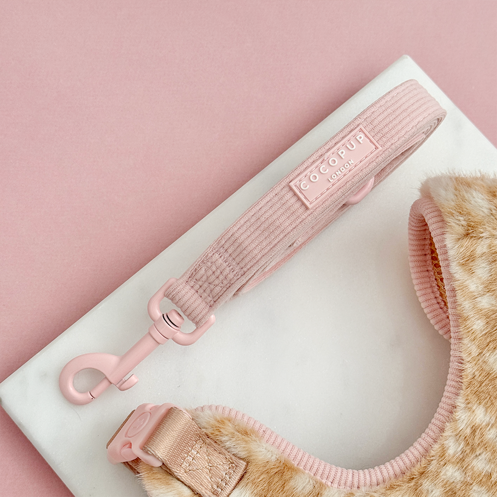 Fluffy Fawn - Adjustable Neck Harness, Lead & Collar Bundle