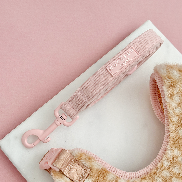 Fluffy Fawn - Adjustable Neck Harness, Lead & Collar Bundle