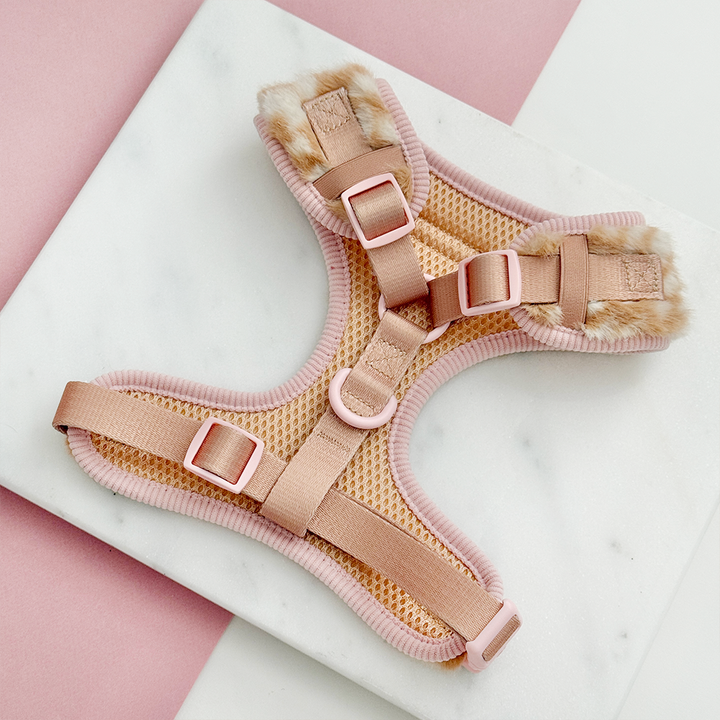 Fluffy Fawn Adjustable Neck HARNESS