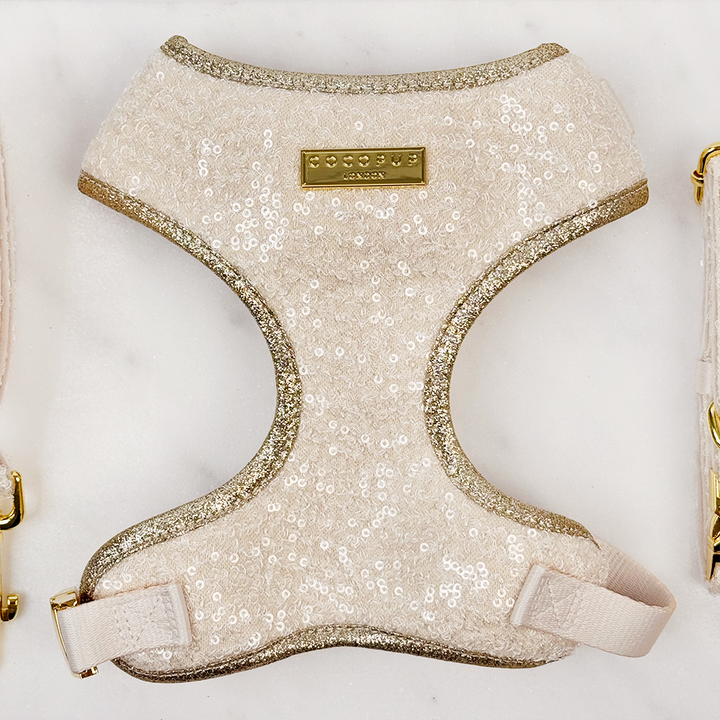 Limited Edition Sparkle Season Gold Adjustable Neck Harness, Lead & Collar Bundle